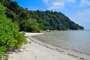 Penang National Park