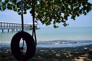 Penang National Park