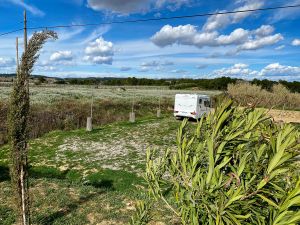 Celler Carol Vallès