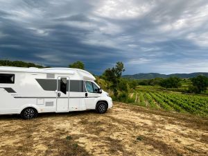 Celler Eudald Massana Noya