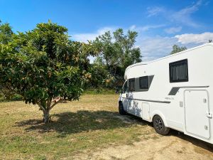 Celler Eudald Massana Noya