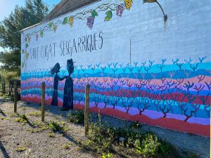 RV Penedès - Sant Cugat Sesgarrigues