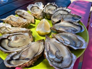 Re Ostrea