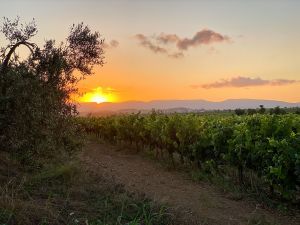 Sant Cugat Sesgarrigues