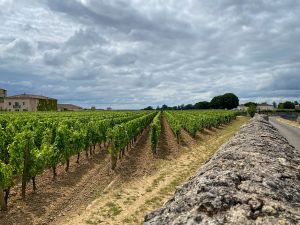 Saint Emilion