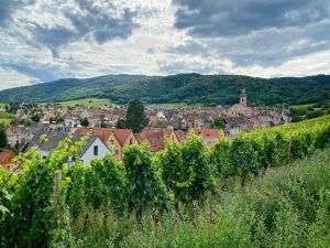 Riquewihr