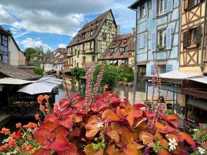 Colmar
